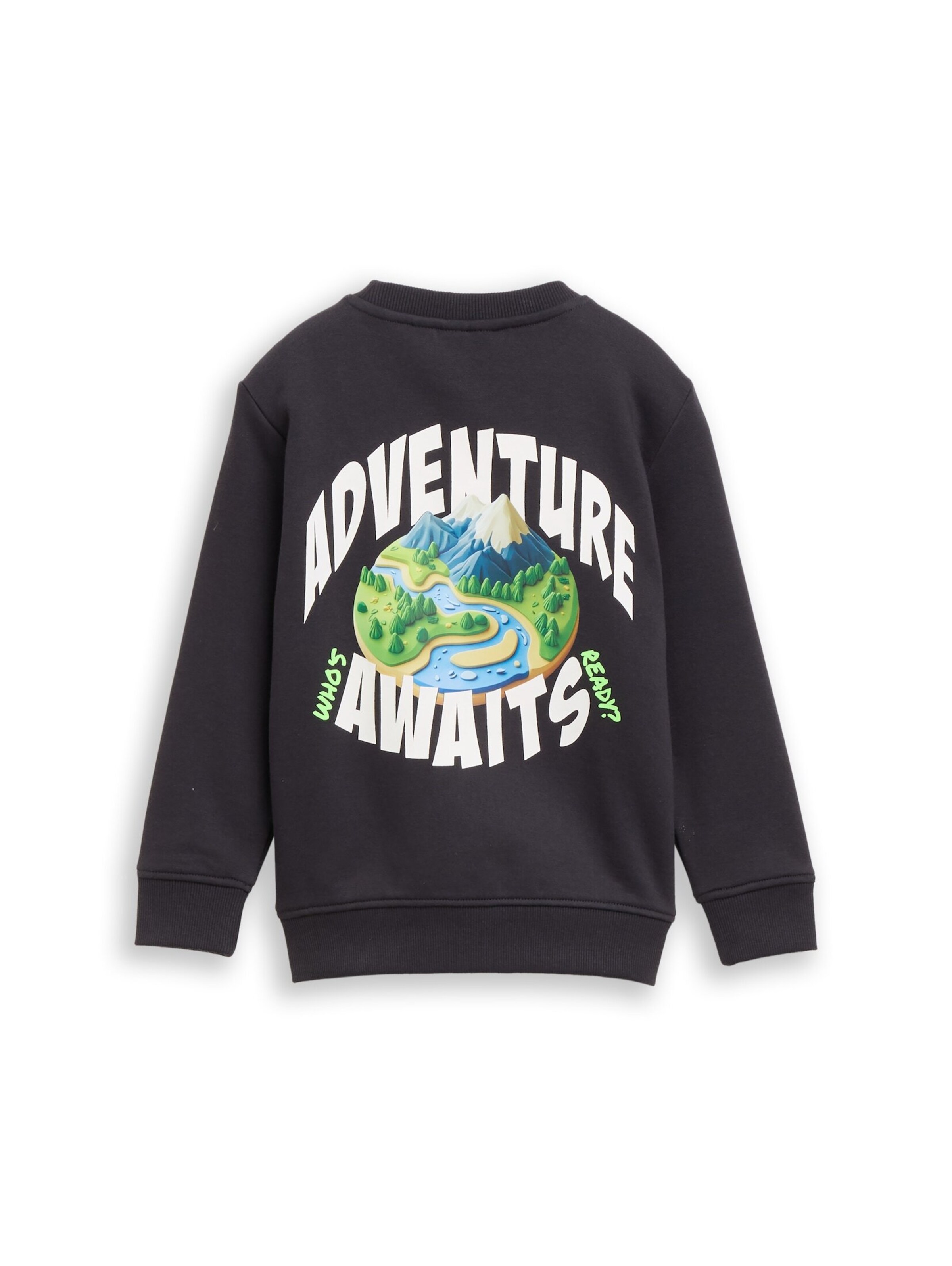 TOM TAILOR Sweatshirt in Grau