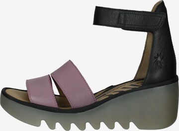 FLY LONDON Sandals in Purple