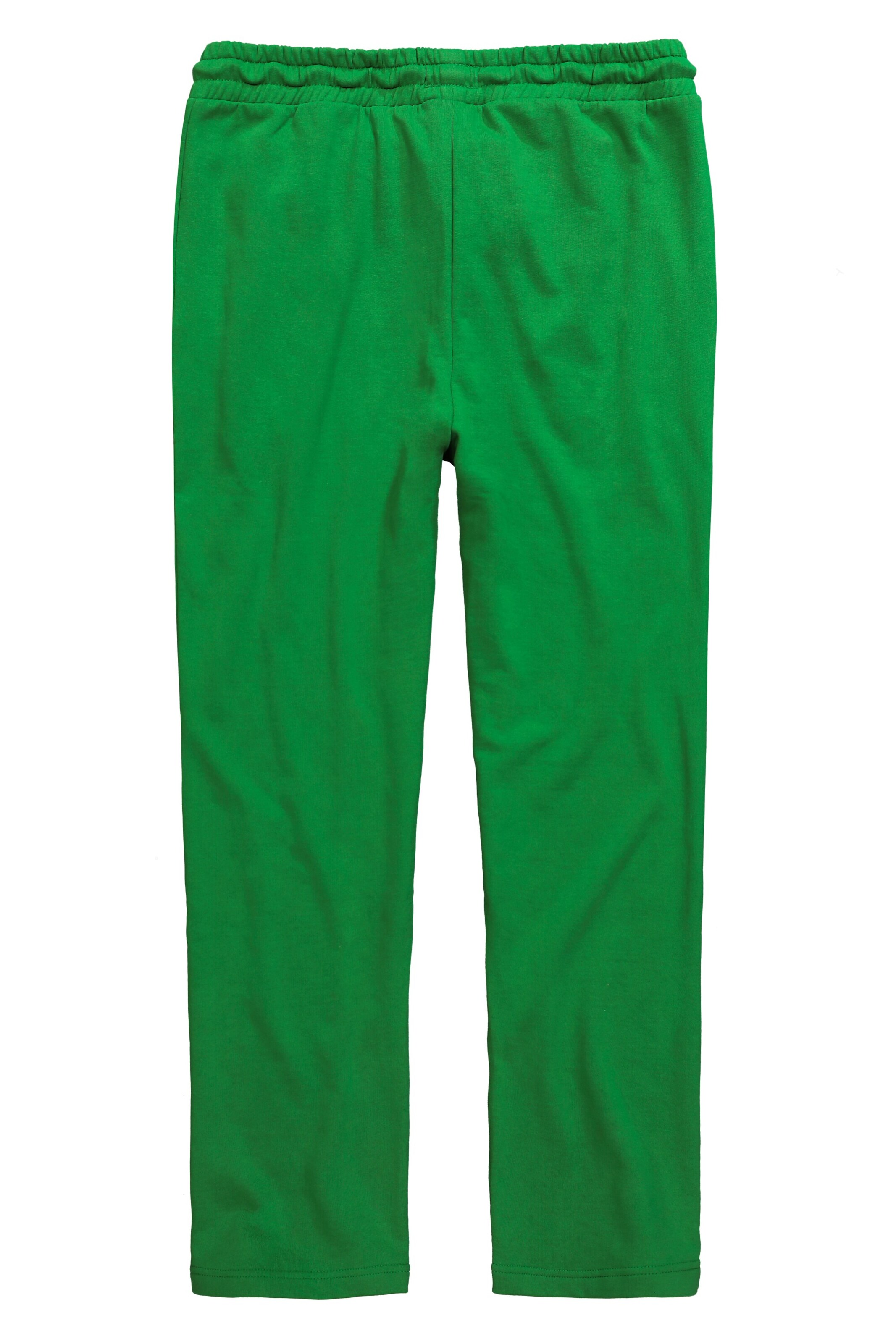 Men Plus Tapered Pants in Green