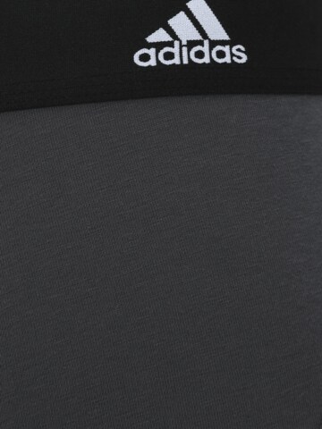 ADIDAS SPORTSWEAR Sports underpants in Mixed colours