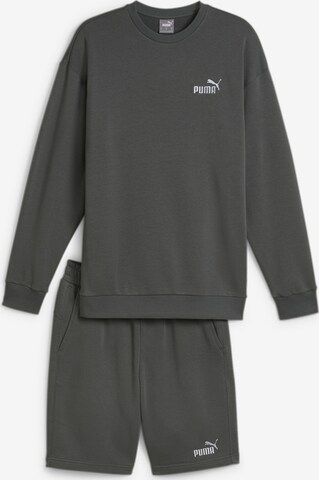 PUMA Tracksuit in Grey: front