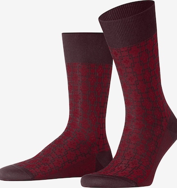 FALKE Socken 'Artwork Tie' in Rot: Vorderseite