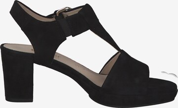 GABOR Sandals 'Comfort St. Tropez 42.394' in Black