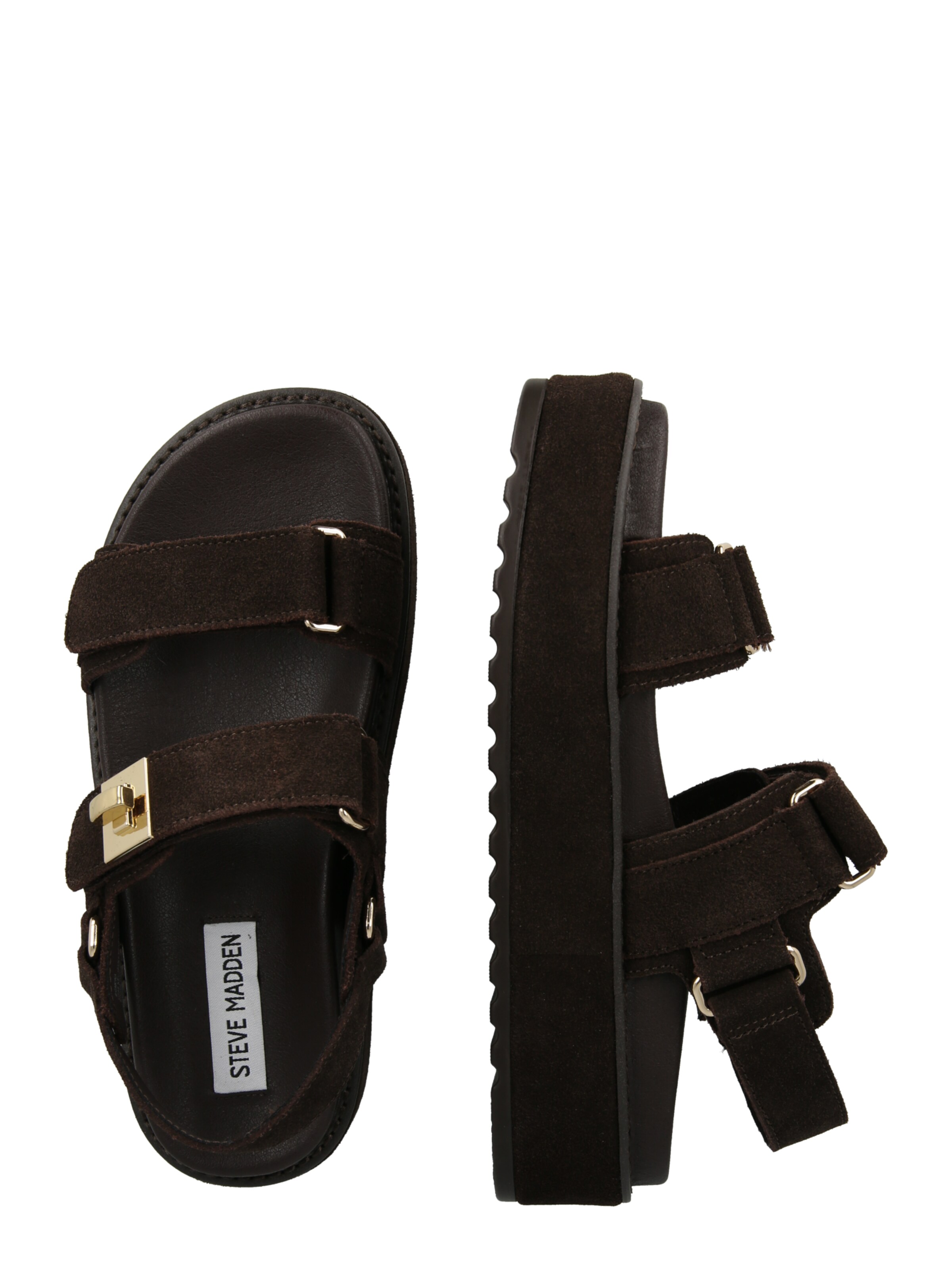 Sandales 'Bigmona' STEVE MADDEN en marron