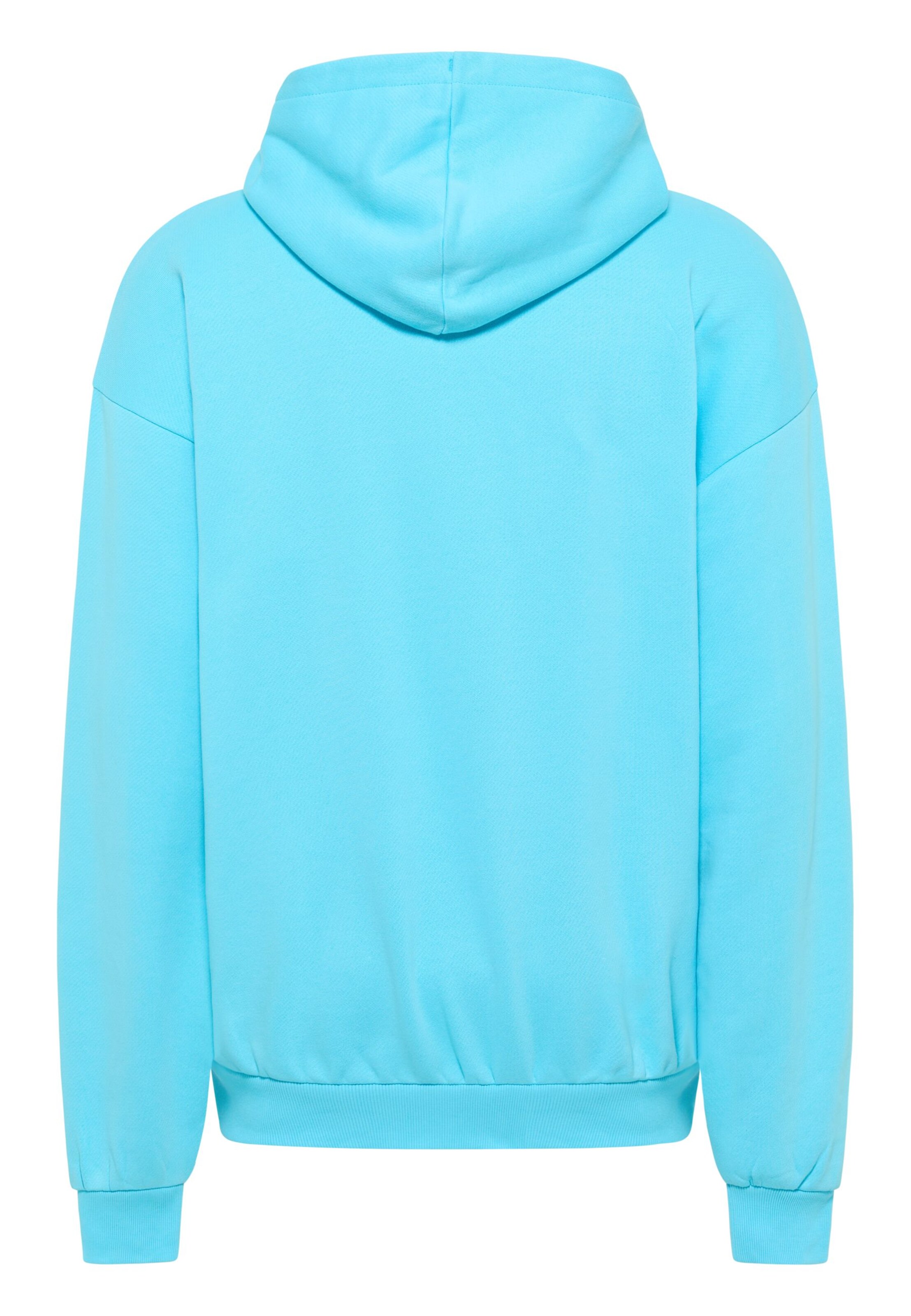 Colucci Sweatshirt in Green