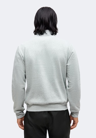 THE NORTH FACE - Sudadera 'EVOLUTION SIMPLE DOME' en gris