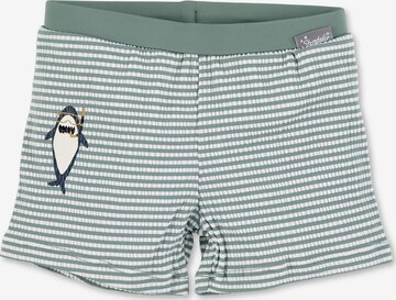 STERNTALER Board Shorts 'Hai' in Green: front