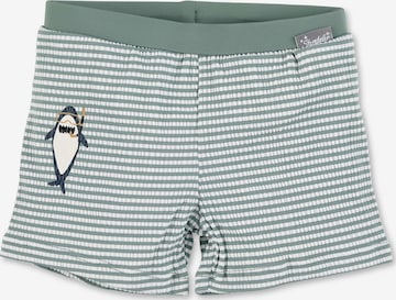 STERNTALER Board Shorts 'Hai' in Green: front