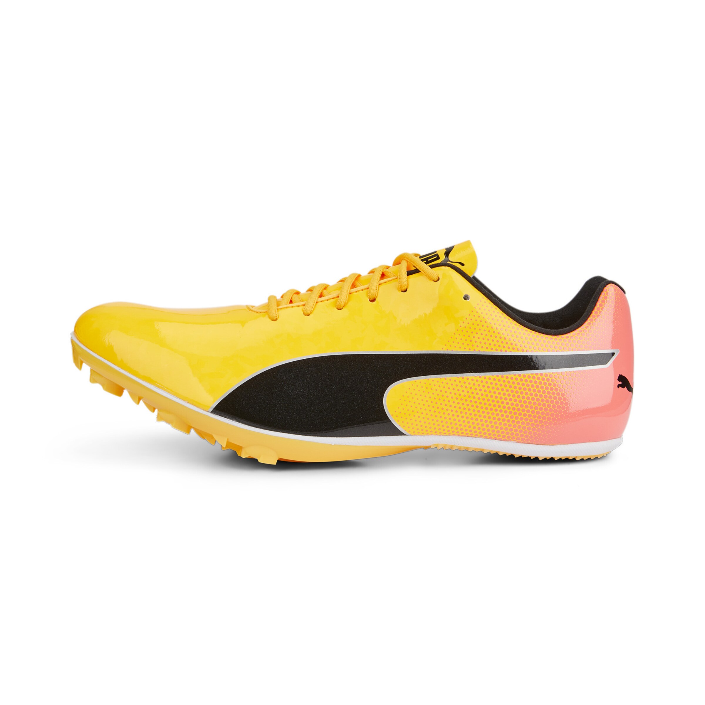 Chaussure de sport 'Evospeed Sprint 14' PUMA en orange : devant
