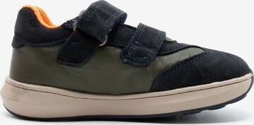 PRIMIGI Sneakers 'Paf 49000' in Groen