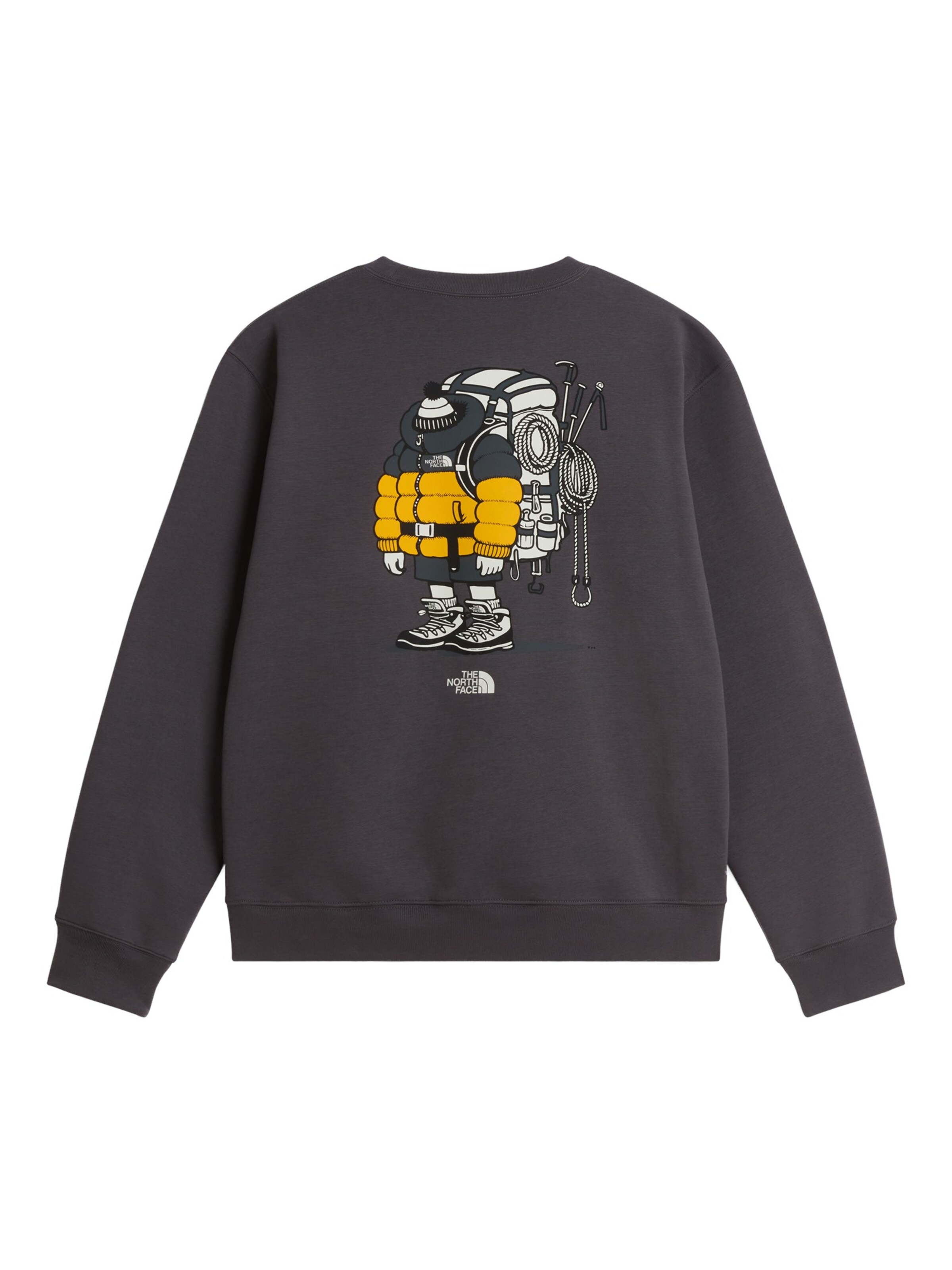 THE NORTH FACE Bluzka sportowa 'Gear Up Get Out' w kolorze szary