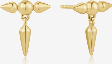 ANIA HAIE Earrings in Gold: front