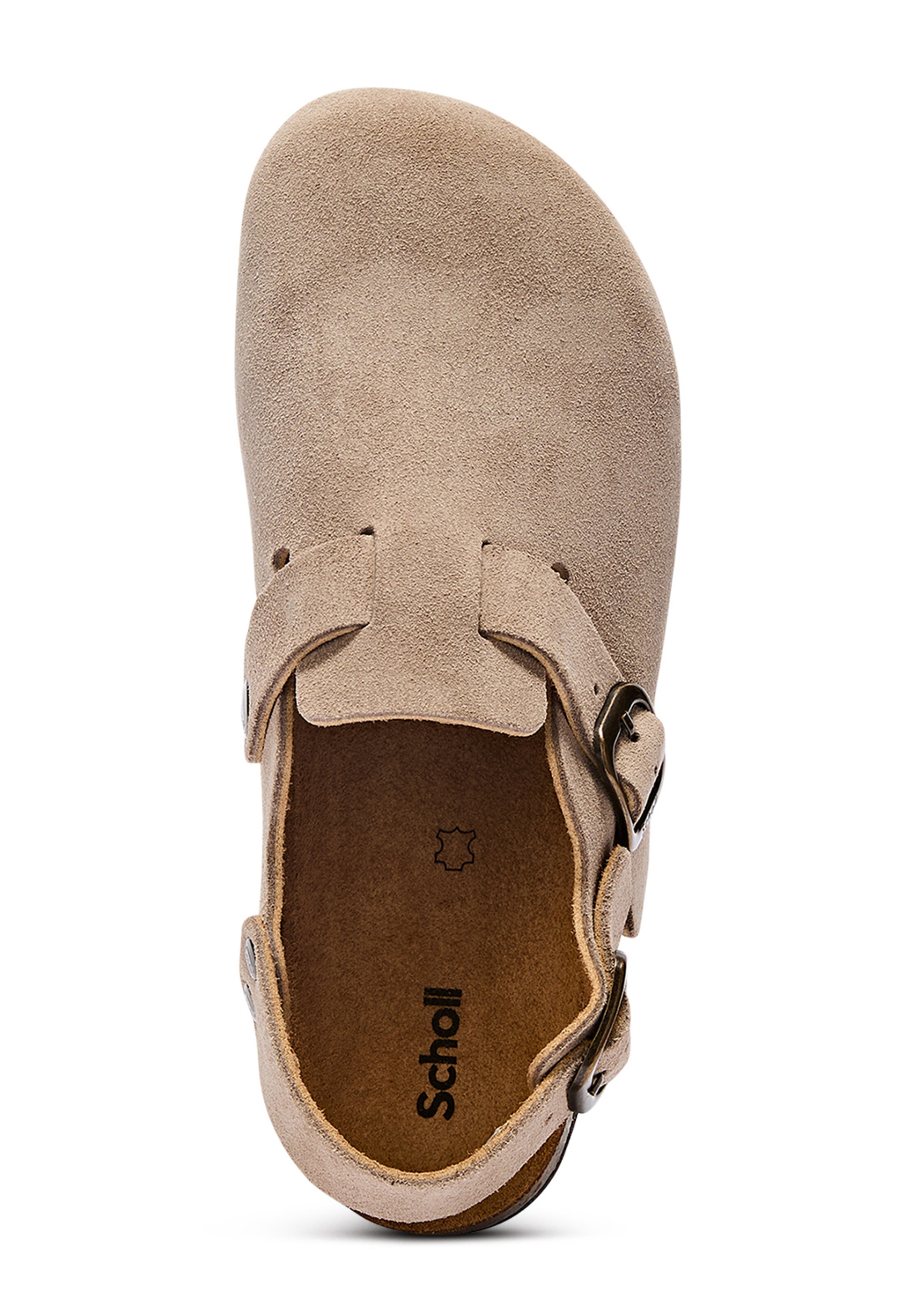 SCHOLL Clogs in Beige