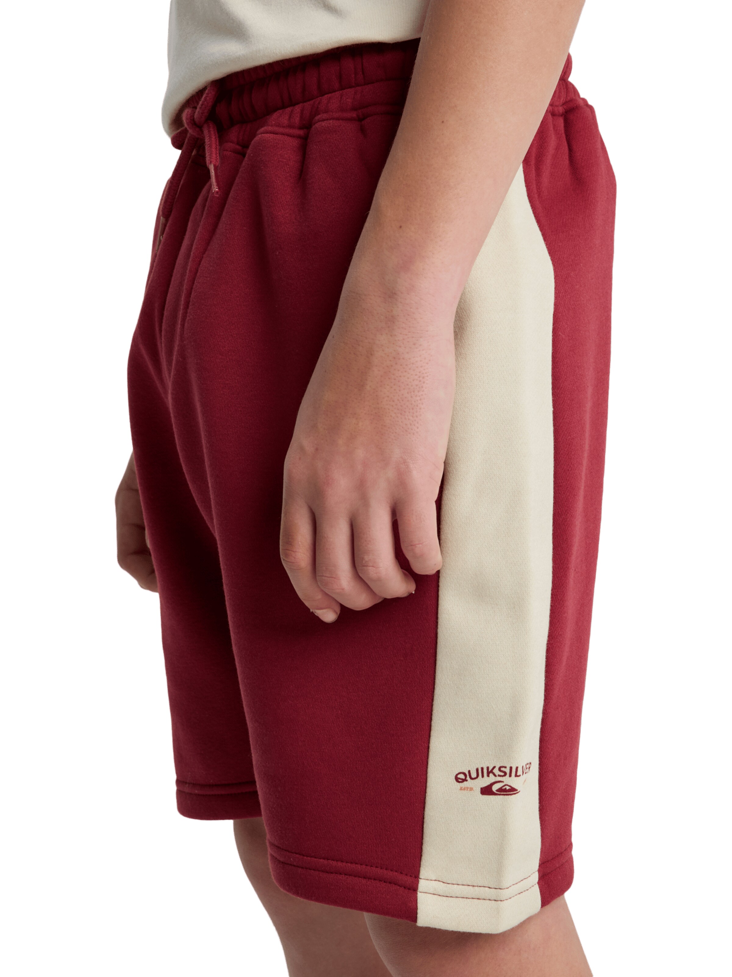 QUIKSILVER Loose fit Pants 'Knowledge Area' in Red