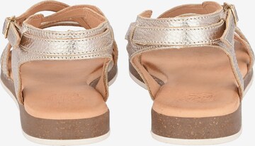 Apple of Eden Sandalen met riem ' IRINA ' in Goud