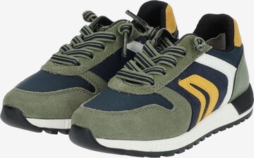 GEOX Sneaker in Grün