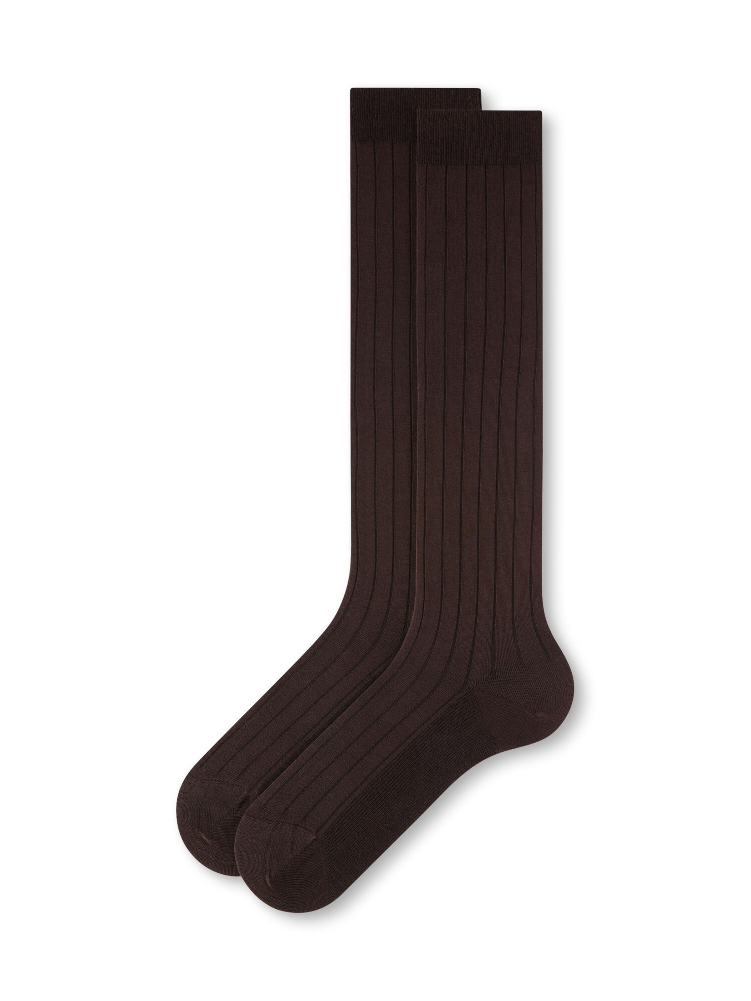 CALZEDONIA Kniestrümpfe in 36-41 in schoko, Produktansicht