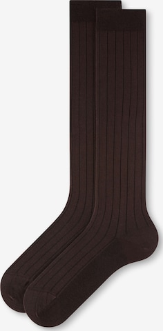 CALZEDONIA Kniestrümpfe in Braun: Vorderseite