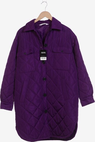 Studio Untold Jacket & Coat in XL in Purple: front