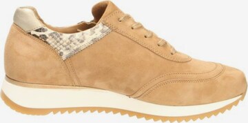 GABOR Lace-Up Shoes in Brown