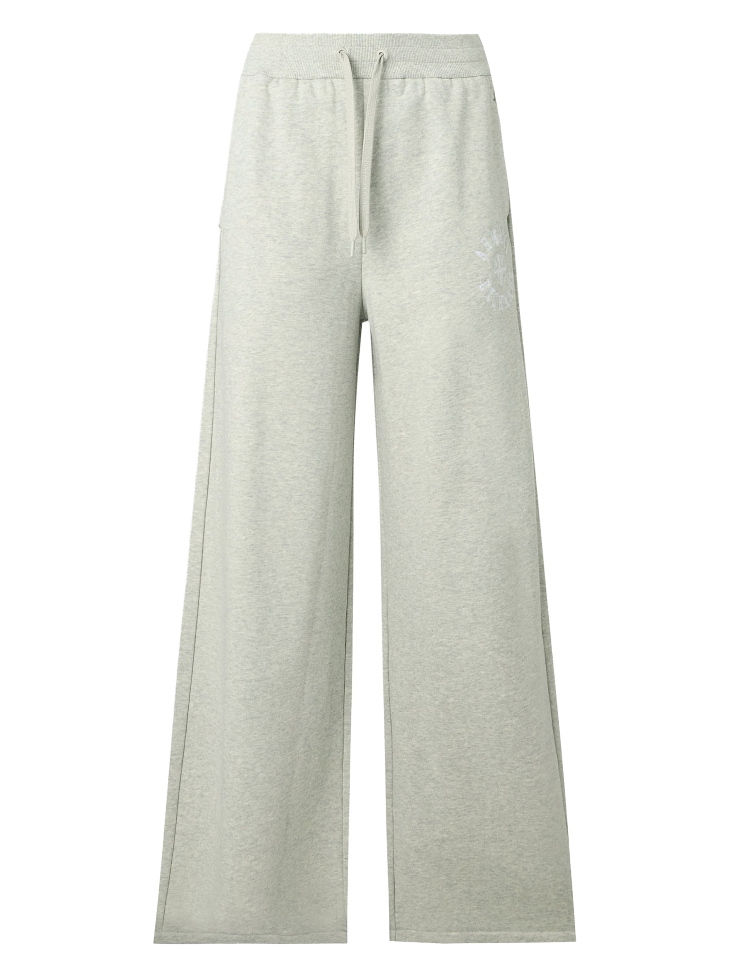 Wide leg Pantaloni di ARMANI EXCHANGE in grigio: frontale