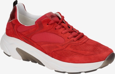 GABOR Schnürschuh in rot, Produktansicht