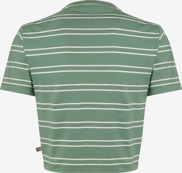 DICKIES - Camiseta en verde