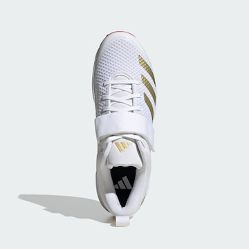 ADIDAS PERFORMANCE Sportschoen 'Adipower Vector 20' in Wit