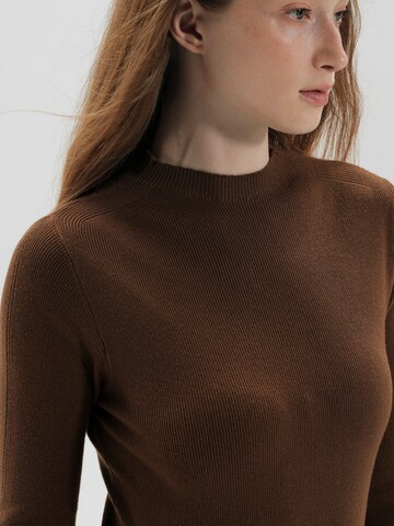 TorWeit Pullover‌‌‌‌‌‌‌‌ in Braun