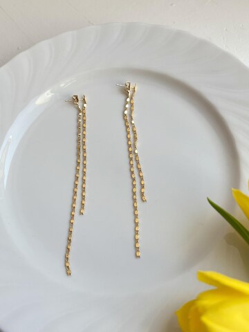 Kamakula Ohrringe 'Linear Chain'‌‌‌ in Gold