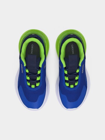 Sneaker 'Activart Illuminus' de la GEOX pe albastru