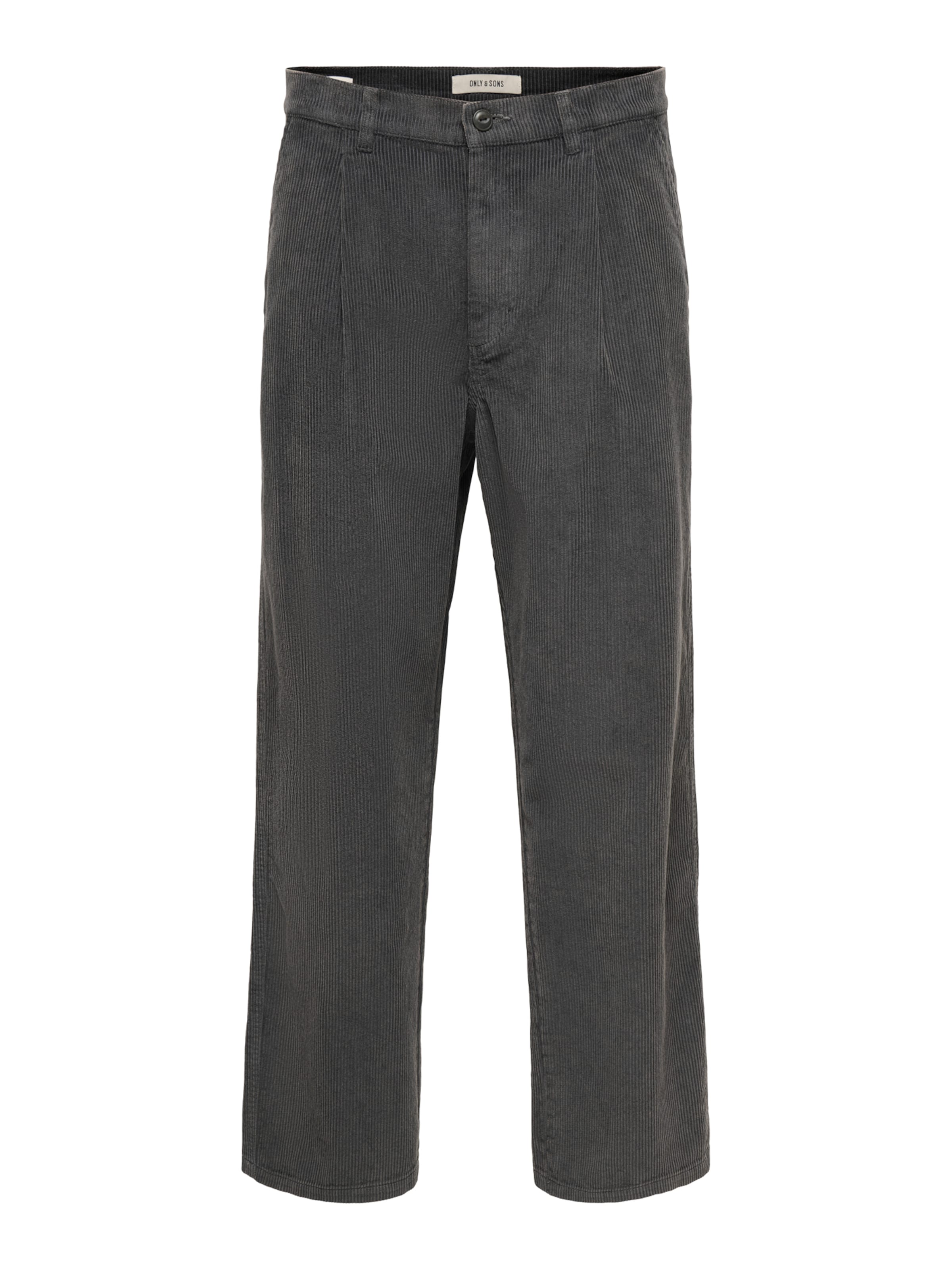 Only & Sons Loose fit Pleat-front trousers 'ONSTOBY' in Grey: front