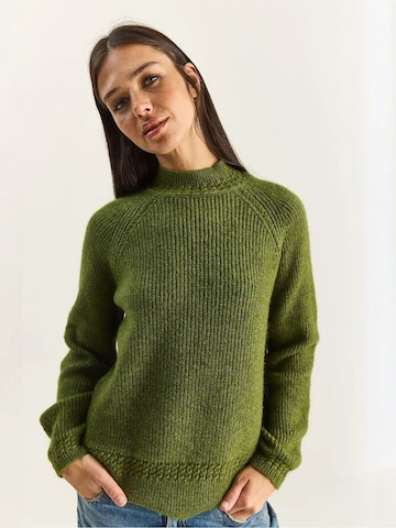 Pull-over Bianco Lucci en vert : devant