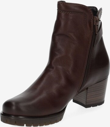 GABOR Ankle Boots in Brown: front