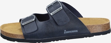 DR. BRINKMANN Mules 'Bonillo' in Blue: front