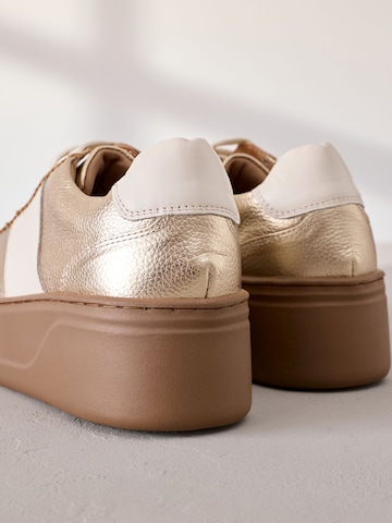 Baskets basses Next en or