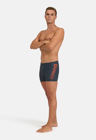 ARENA Athletic Swim Trunks 'BYOR EVO' in Grey