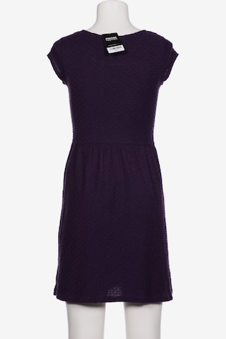 Dorothy Perkins Dress in M in Purple