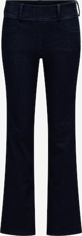 Salsa Jeans Jeans in Blau: Vorderseite