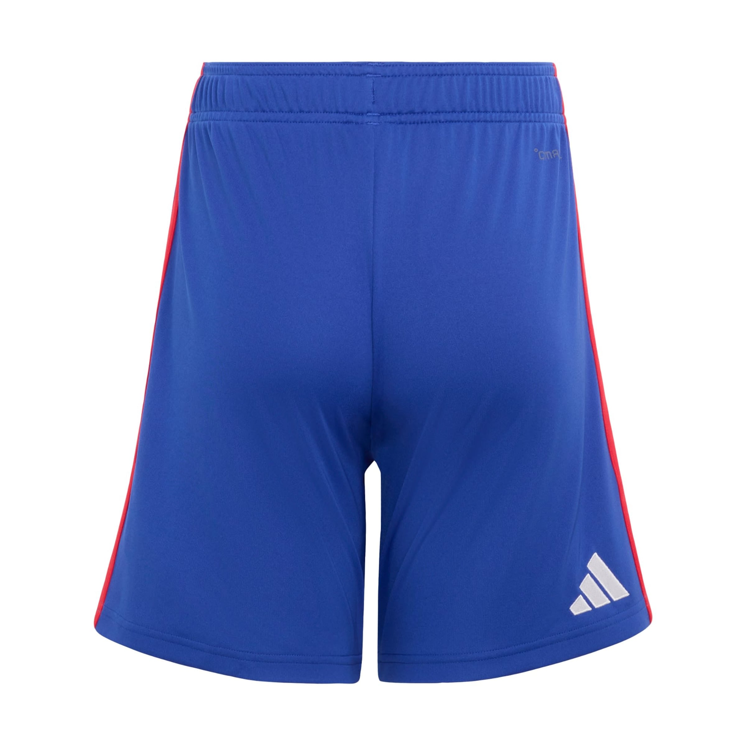 ADIDAS PERFORMANCE Normální Sportovní kalhoty 'Olympique Lyon 26/27' – modrá