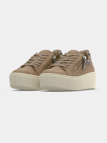 GABOR Низкие кроссовки в Бежевый