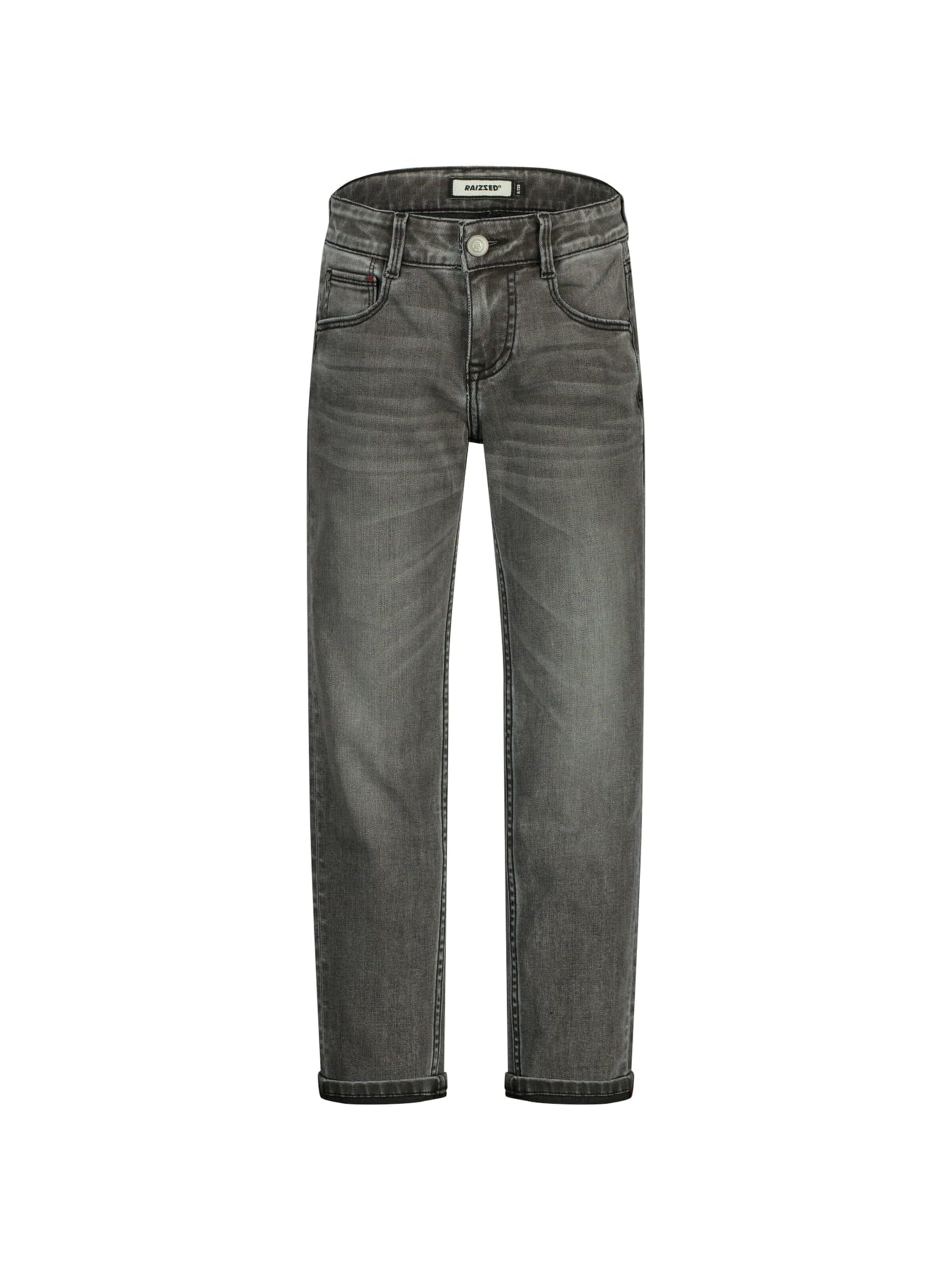 Raizzed Baggy Jeans in Grijs: voorkant