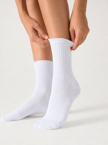 sockenkauf24 Athletic Socks in White: front
