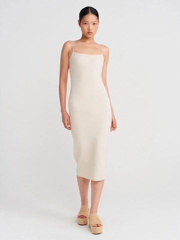 Dilvin Midi Kleid in Beige: Vorderseite