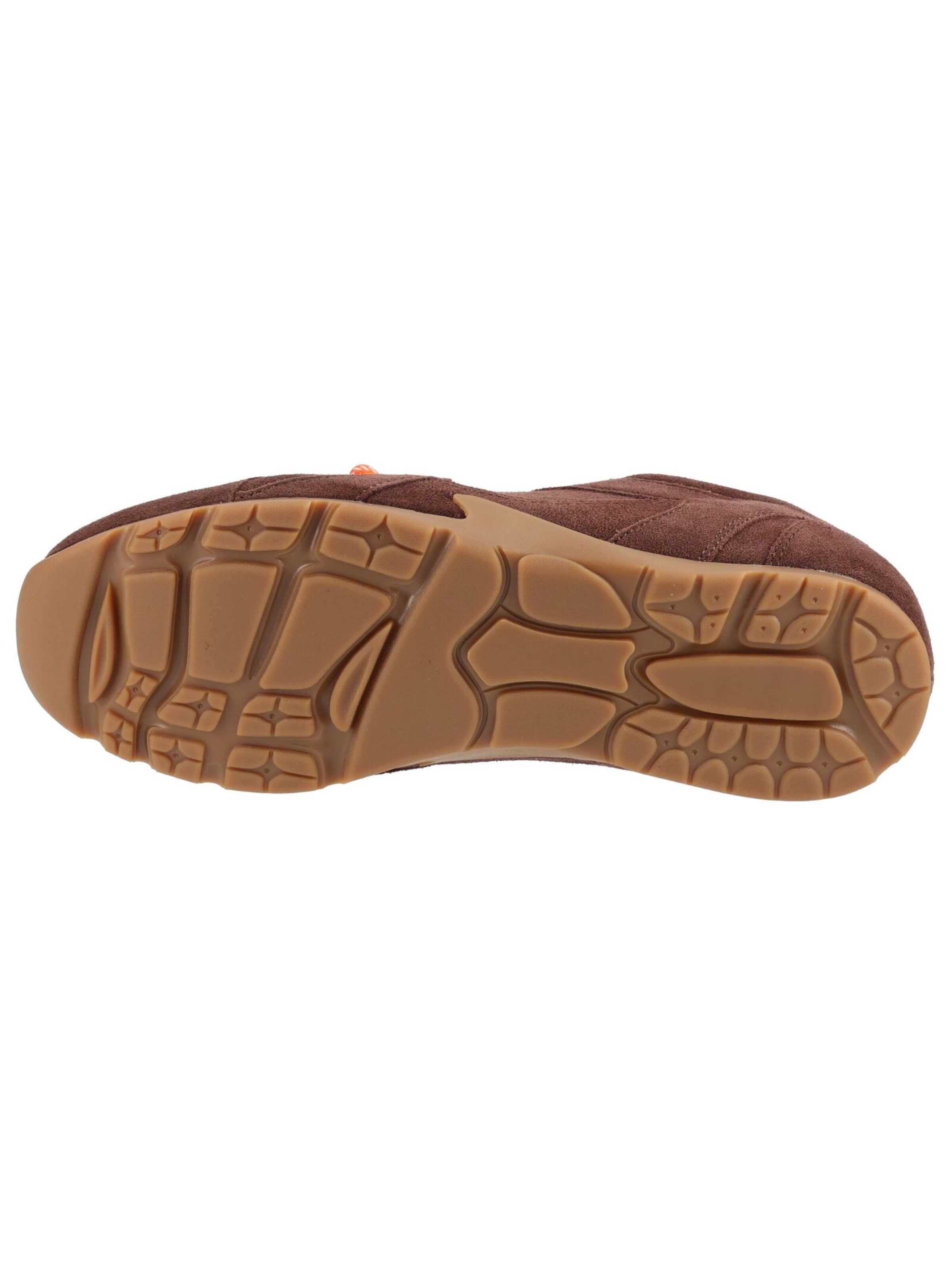 STEVE MADDEN Platform trainers in Brown