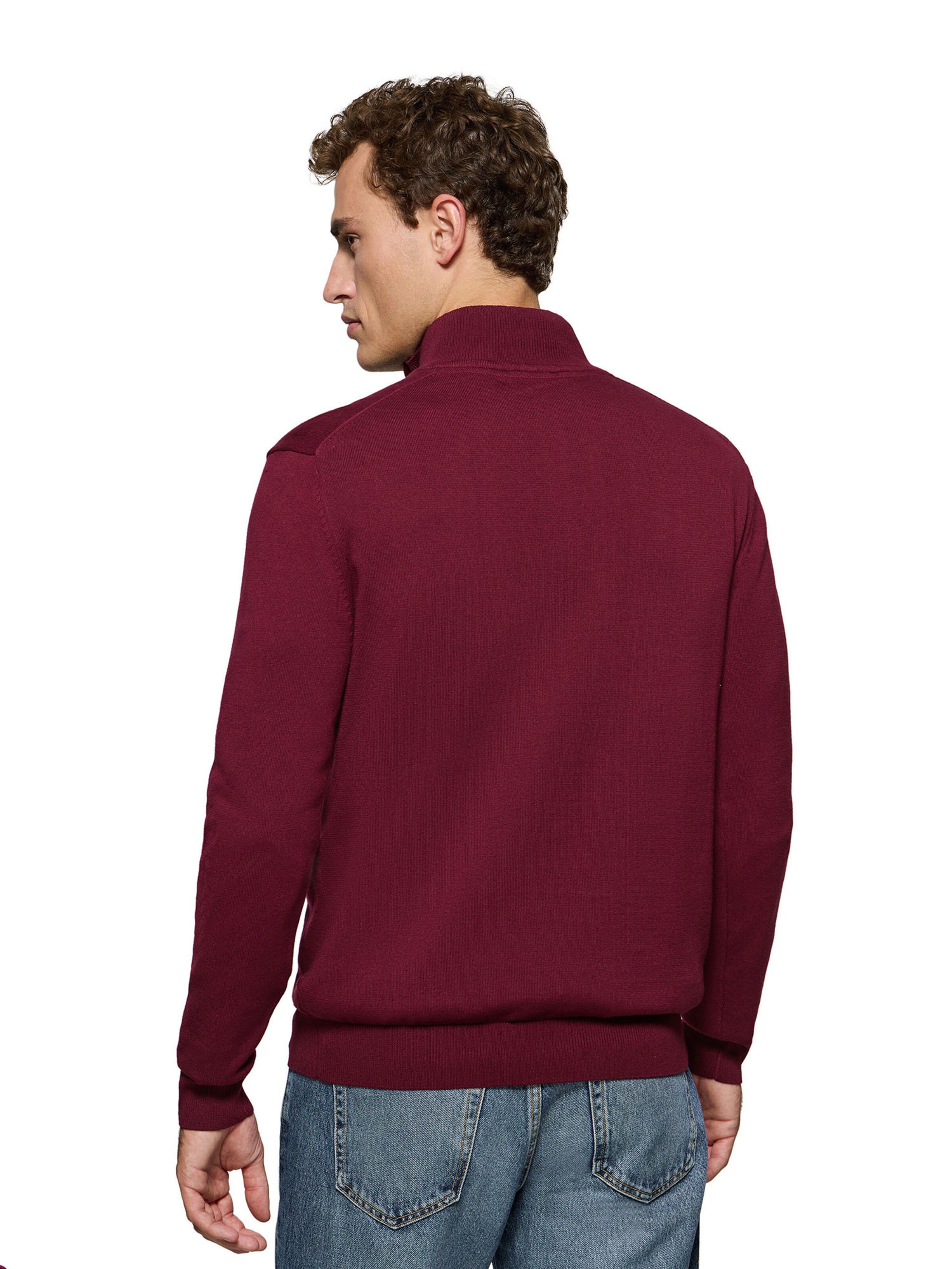 Polo Club Pullover in Rot