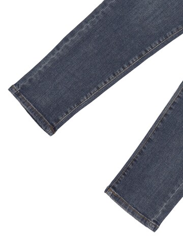 Roy Rogers Tapered Jeans 'RIPPED' in Grau