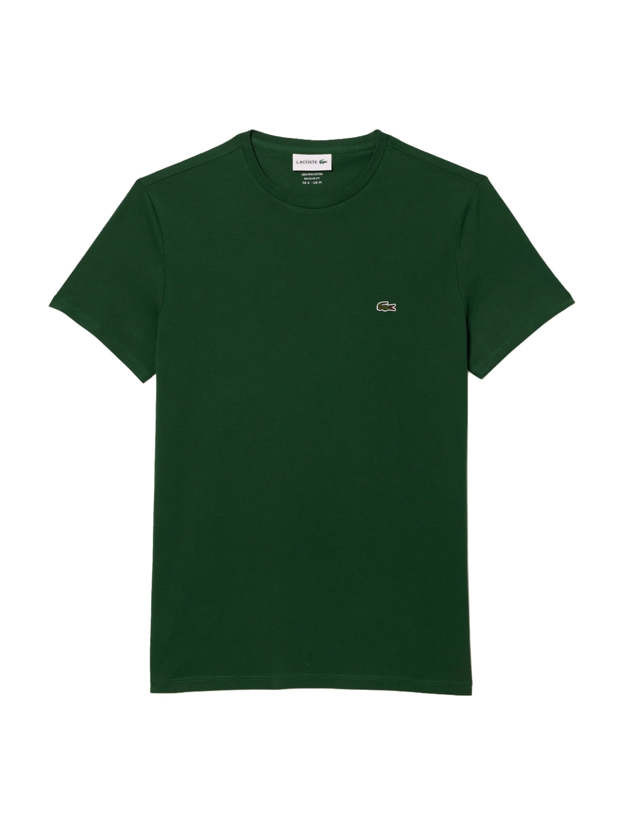 Maglietta di LACOSTE in verde: frontale