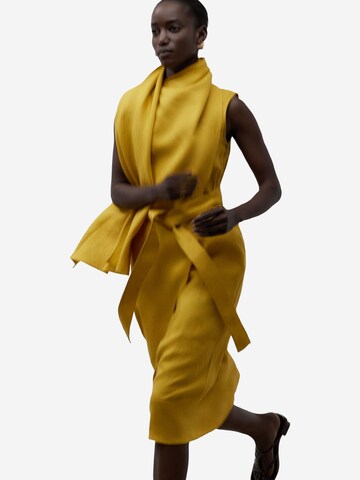 Adolfo Dominguez Dress in Yellow