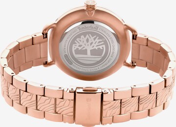 TIMBERLAND Analog Watch in Pink
